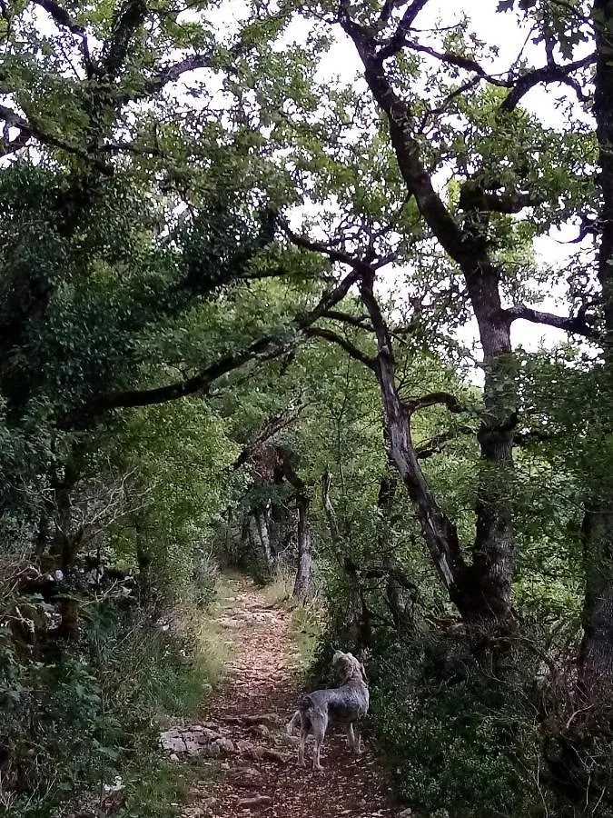 Natura Zome Caylus